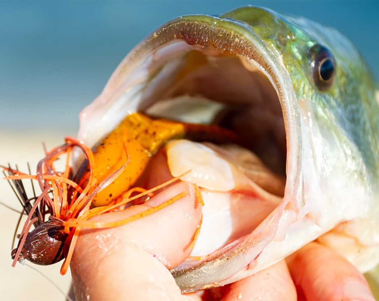 Camo Tungsten Wacky Jigs